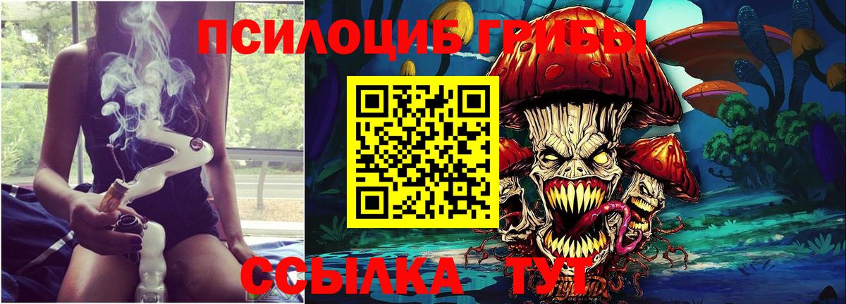 Псилоцибиновые грибы мицелий Чебаркуль